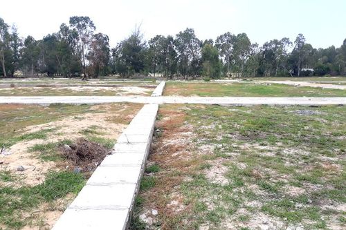 Phân lô 'dự án ma' bán đất vườn cho dân