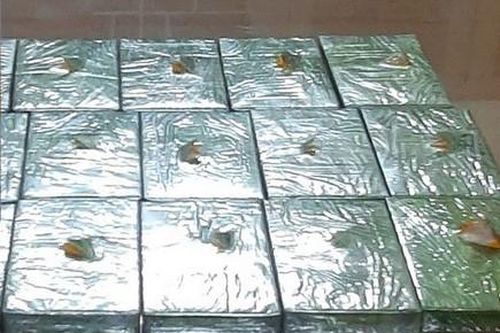 Vận chuyển 17 bánh heroin trên tàu Bắc- Nam
