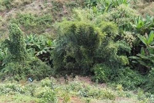 Bố che giấu tội ác kinh hoàng của con trai