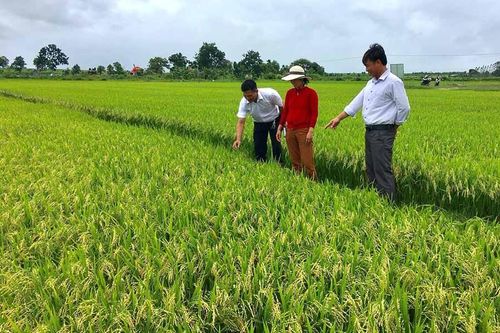 Mặt trận và các đoàn thể huyện Ia Pa đổi mới phương thức hoạt động