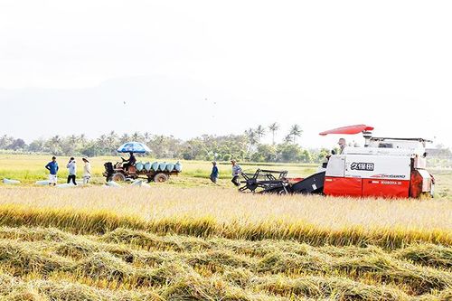 Thúc đẩy chế biến sâu trong nông nghiệp