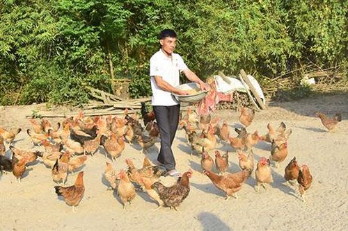 Những đảng viên trẻ lập nghiệp, làm giàu
