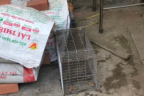 Đâm chết người vì nghi bắt trộm mèo
