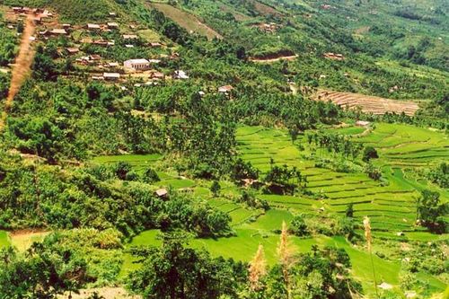 Tìm cách tháo 'vật thể lạ', một người tử vong