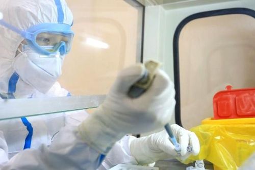 WHO cảnh báo 'chủng mới của virus Corona rất nguy hiểm'