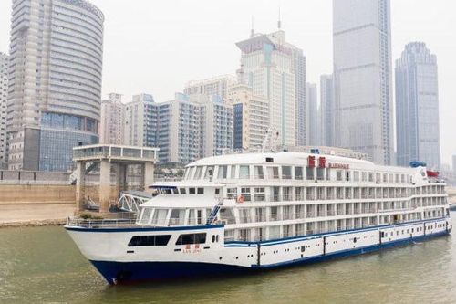 TQ điều 7 tàu du lịch tới Vũ Hán phục vụ y bác sĩ dưỡng sức
