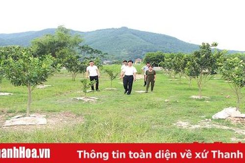 Huyện Như Thanh thực hiện hiệu quả Nghị quyết số 13 về tích tụ, tập trung đất đai