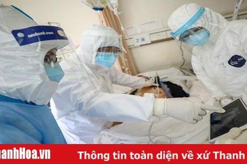 Sự cao cả của nghề
