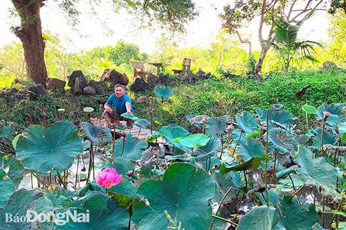 Tạo thương hiệu cho du lịch nhà vườn
