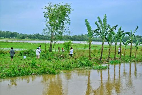 Đầu năm Tý, thăm 'xứ sở' chuột đồng…