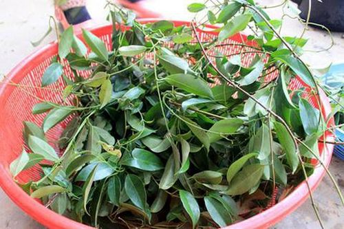 Dân dã món canh chua từ rau rừng