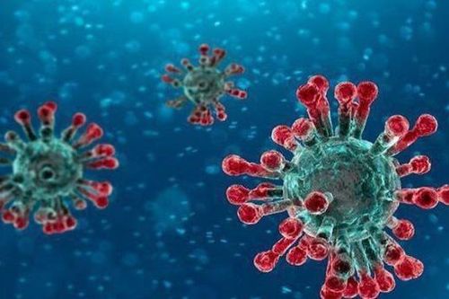 Chính thức đặt tên SARS-CoV-2 cho virus gây bệnh Covid-19