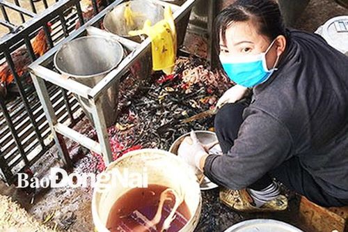 Các điểm giết mổ gia cầm tự phát: Vẫn khó kiểm soát