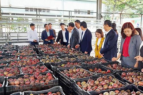 Đồng chí Chủ tịch UBND tỉnh thăm và làm việc tại tỉnh Ninh Bình và Nghệ An
