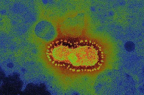 Trung Quốc tìm thấy virus corona trong nước tiểu của bệnh nhân