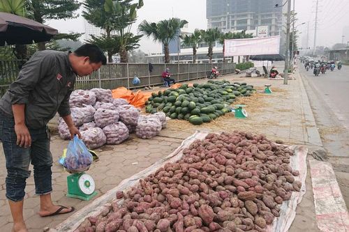 Điệp khúc 'giải cứu' nông sản: Đừng chỉ nói, hãy hành động