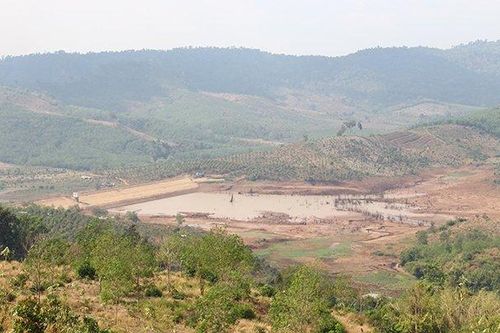 Khởi tố giám đốc doanh nghiệp thanh toán khống hơn sáu tỷ đồng