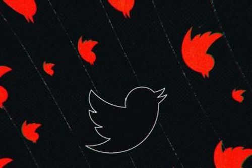 Bầu cử Mỹ 2020: Twitter gỡ 70 tài khoản ủng hộ ông Michael Bloomberg