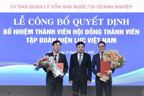 Thêm 2 'nhân tố trẻ' trong Hội đồng thành viên EVN