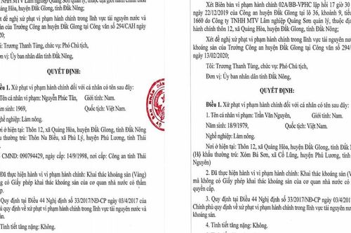 Xẻ đất rừng khai thác vàng trái phép, 3 đối tượng bị phạt 180 triệu
