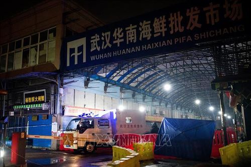 Giới khoa học Trung Quốc cho rằng nCoV không bắt nguồn từ chợ hải sản Vũ Hán