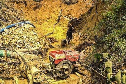 Phạt 180 triệu đồng đối với 3 đối tượng khai thác vàng trái phép ở Đắk Nông