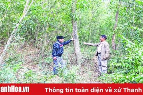 Nghị lực làm kinh tế rừng của cựu thanh niên tình nguyện