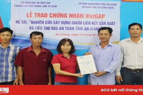 Nghiên cứu xây dựng chuỗi liên kết sản xuất và tiêu thụ rau an toàn