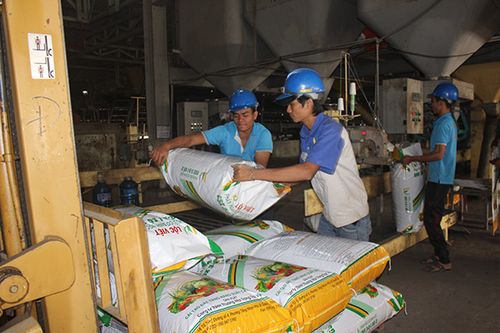 Thêm chế tài để xử phạt nạn phân bón giả