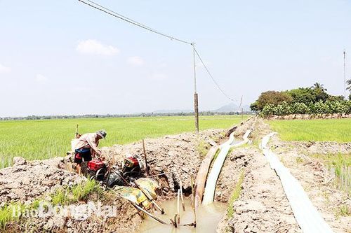 Huyện vùng cao chống hạn