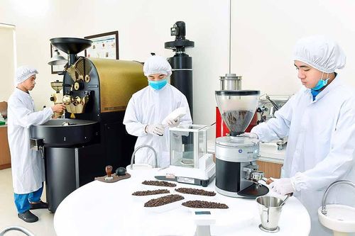 Thủ tướng Chính phủ: Tập trung vào những 'cú đấm thép'