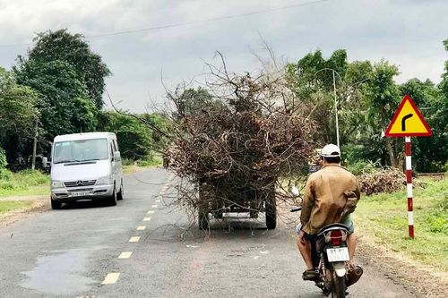 Ra đường sợ... công nông!