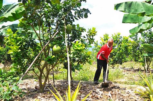 Khánh Vĩnh: Tiếp tục hỗ trợ phát triển kinh tế
