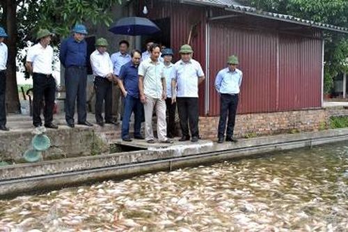 Chuyển dịch cơ cấu lao động, tạo việc làm bền vững