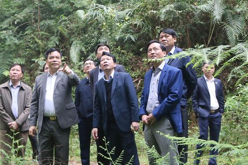 Kiểm tra việc triển khai chính sách hỗ trợ, khuyến khích phát triển nông nghiệp tại huyện Tân Sơn