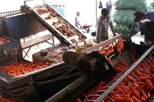 Tăng cường hợp tác khoa học, kỹ thuật, thương mại nông sản với Hoa Kỳ