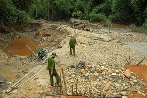 Ba người khai thác vàng trái phép bị phạt 180 triệu đồng