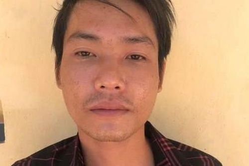 Bắt giữ tên cướp giật điện thoại của cô gái ngoại quốc