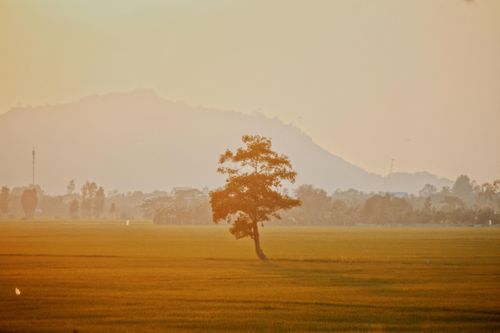 Vì sao An Giang khiến du khách phải lòng?
