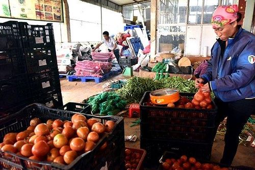Xuất khẩu nông sản trước diễn biến phức tạp của dịch Covid-19