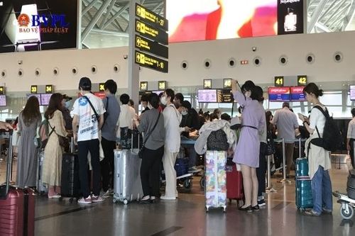 Đà Nẵng đưa du khách Hàn Quốc có nguyện vọng về nước