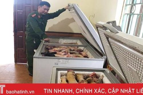 Phát hiện 210 kg chân, đuôi, tai bò không rõ nguồn gốc xuất xứ ở Vũ Quang