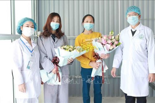 16/16 bệnh nhân dương tính với SARS-CoV-2 đã khỏi bệnh
