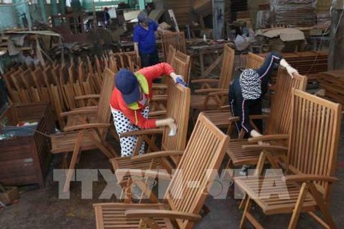 Đột phá tăng trưởng ngành gỗ - Bài cuối : Tháo gỡ nút thắt