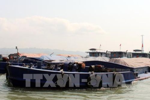 Tạm giữ gần 6.000 tấn than không rõ nguồn gốc