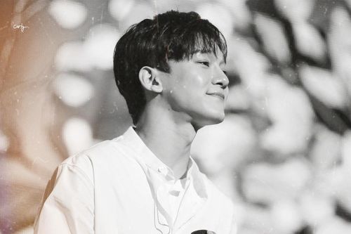 Chẳng màng thông báo từ SM, số lượng lớn fan EXO vẫn quyết liệt yêu cầu Chen rời nhóm