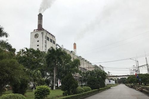 Công ty CP Nhiệt điện Phả Lại: Xuân ấm vùng đất lành