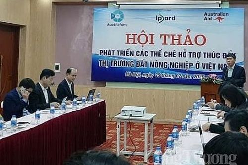 Thị trường đất nông nghiệp: Cần cơ chế gì?