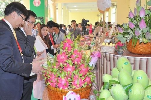 Đồng Tháp xúc tiến thành lập Trung tâm phân phối nông sản