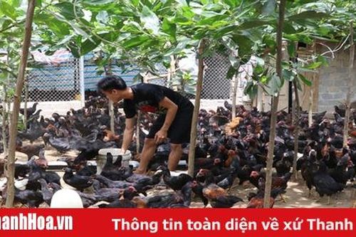Hội Làm vườn và Trang trại hỗ trợ hội viên liên kết sản xuất